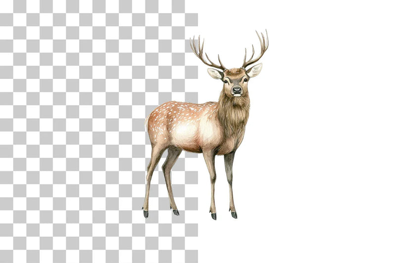 Woodland Deer Stag Clipart Bundle - CraftNest - Digital Crafting and Art