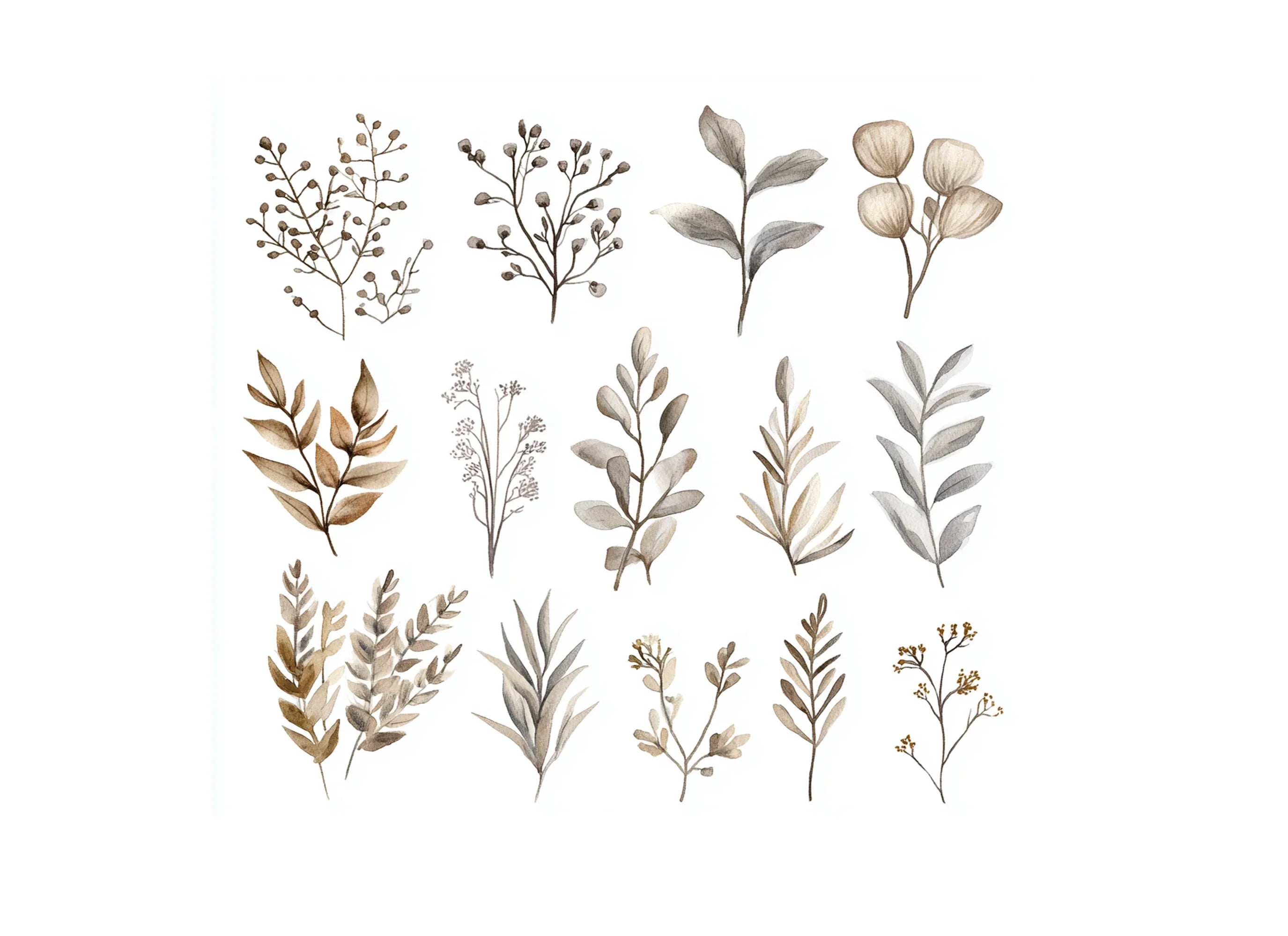 Autumn Botanical Clipart Bundle