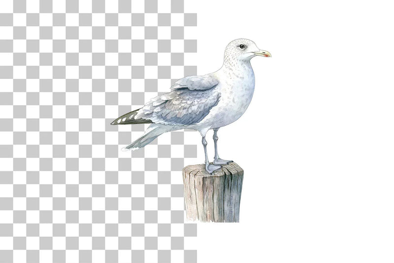 Seagull on Coastal Post Clipart Bundle - CraftNest - Digital Crafting and Art