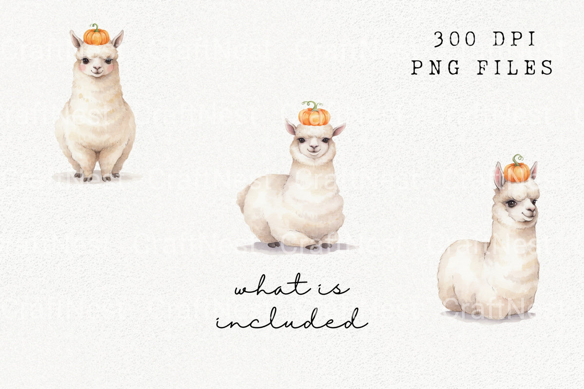 Alpaca With Pumpkin Hats Clipart Bundle