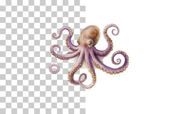 Vintage Octopus Sea Creature Clipart Bundle - CraftNest - Digital Crafting and Art