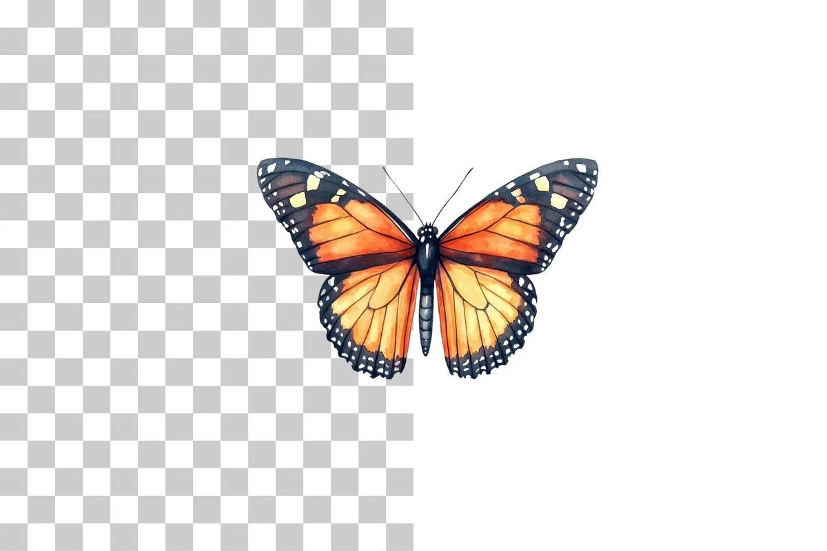 Monarch Butterfly Clipart Bundle - CraftNest - Digital Crafting and Art