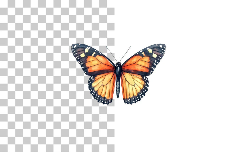 Monarch Butterfly Clipart Bundle - CraftNest - Digital Crafting and Art