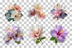 Pearl White Hibiscus Fantasy Flower Clipart Bundle - CraftNest - Digital Crafting and Art