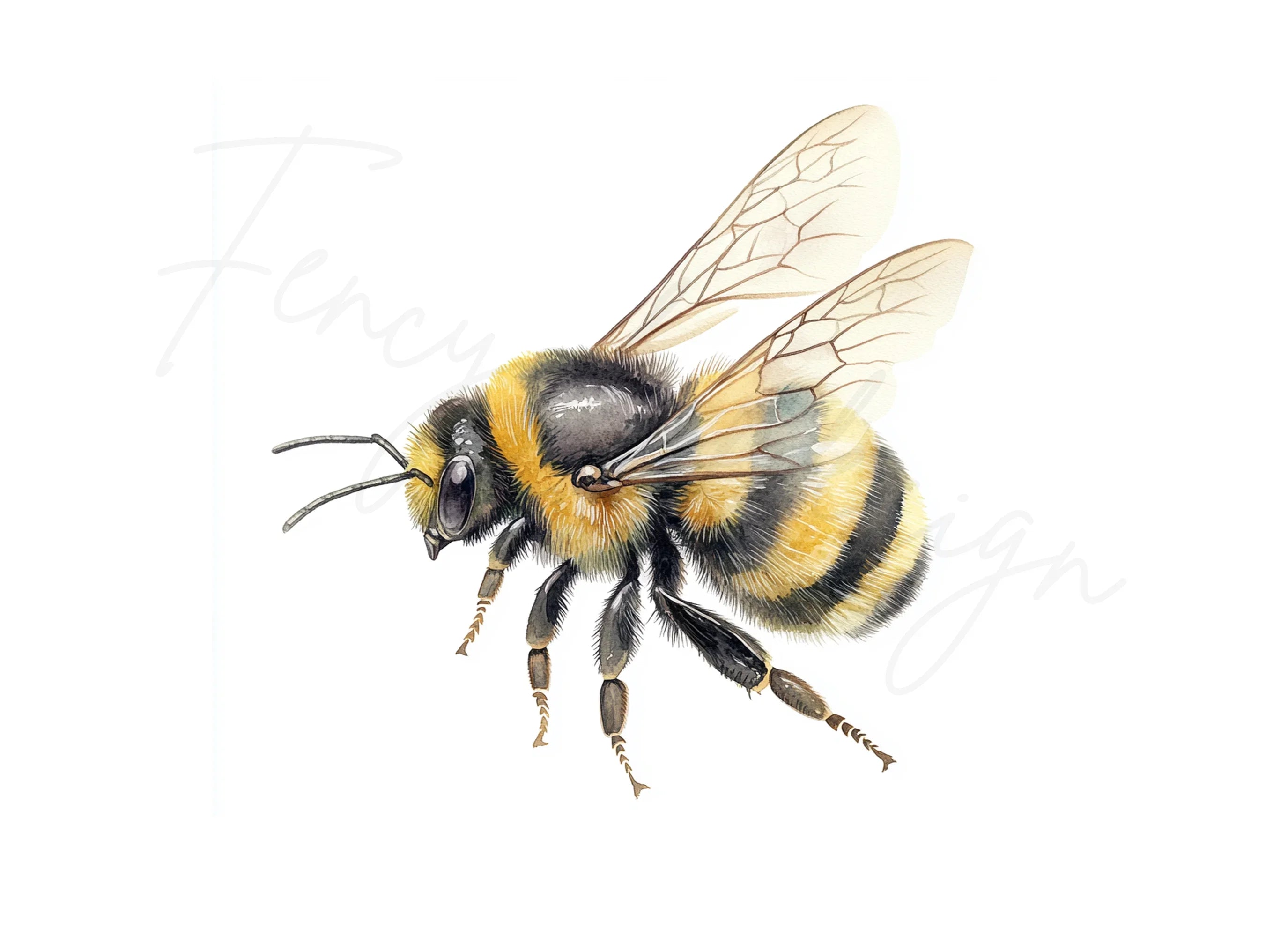 Bumblebee Clipart Bundle