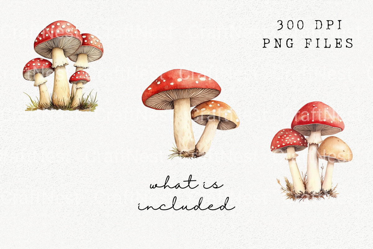 Charming Mushroom Characters Clipart Bundle