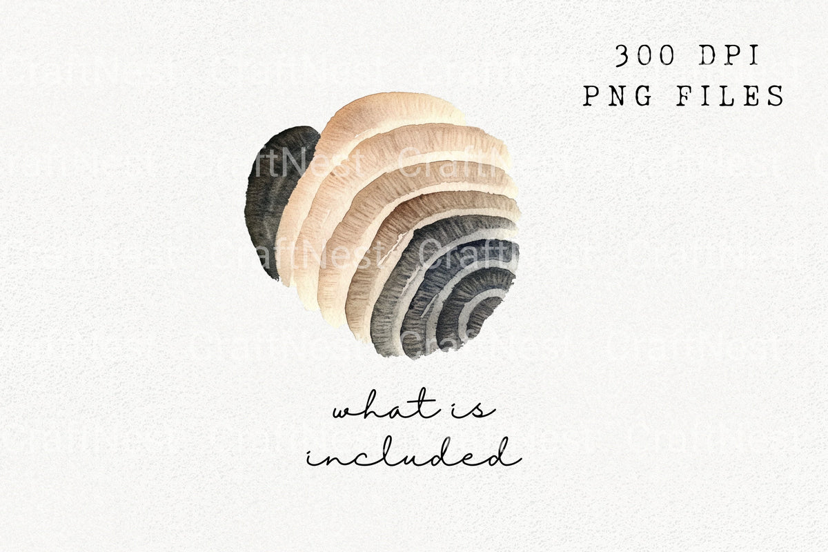 Pebble Shell Textures Clipart Bundle