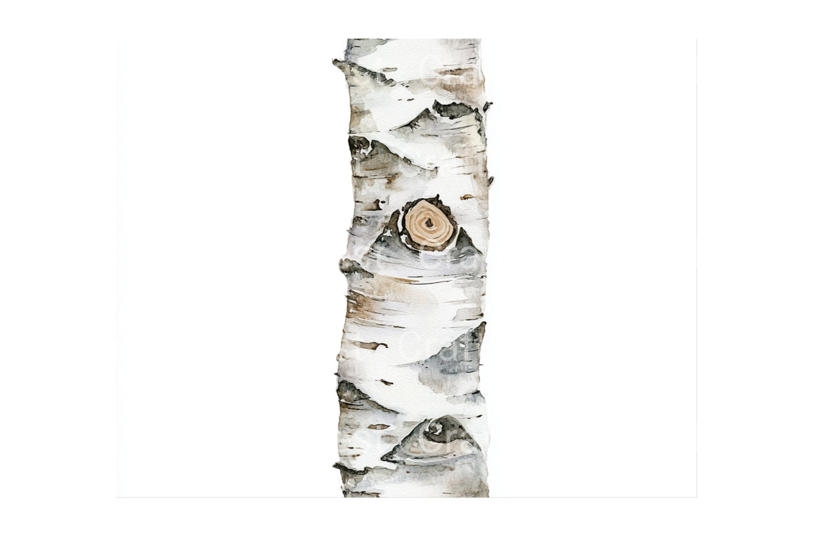 Watercolor Birch Logs Wood Clipart Designs Log Book