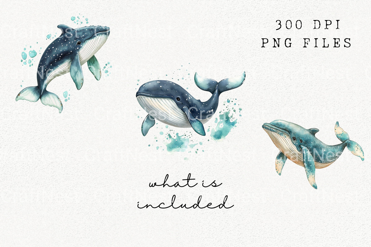 Whale Splash Ocean Graphics Clipart Bundle