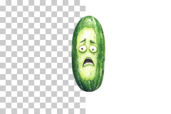 Grumpy Cucumber Cartoon Clipart Bundle - CraftNest - Digital Crafting and Art