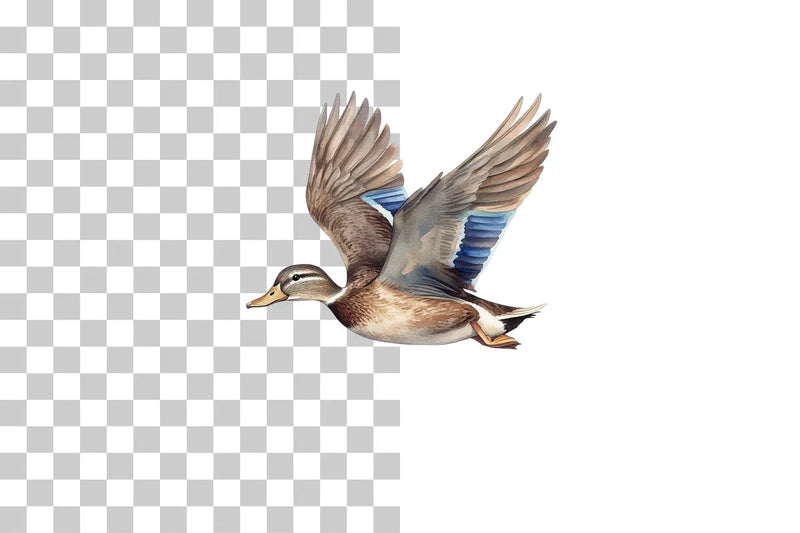 Flying Duck Wildlife Scene Clipart Bundle - CraftNest - Digital Crafting and Art