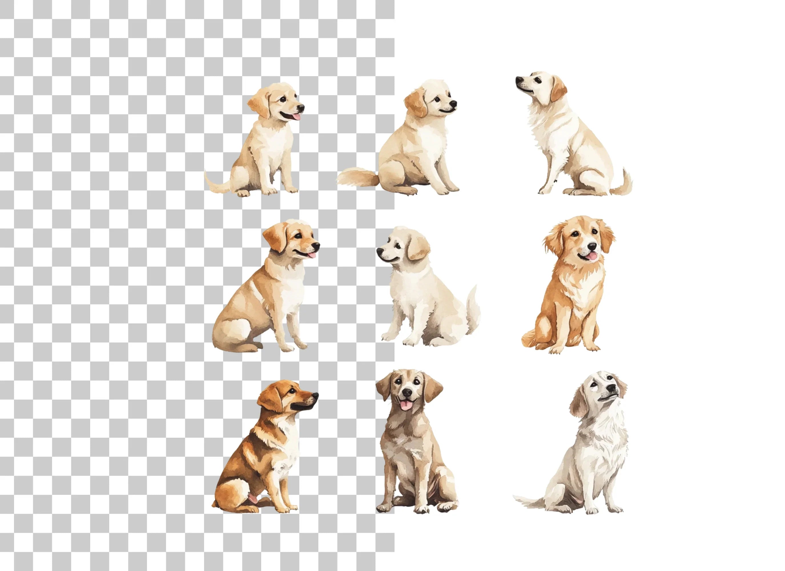 Adorable Golden Retriever Puppies Clipart Bundle