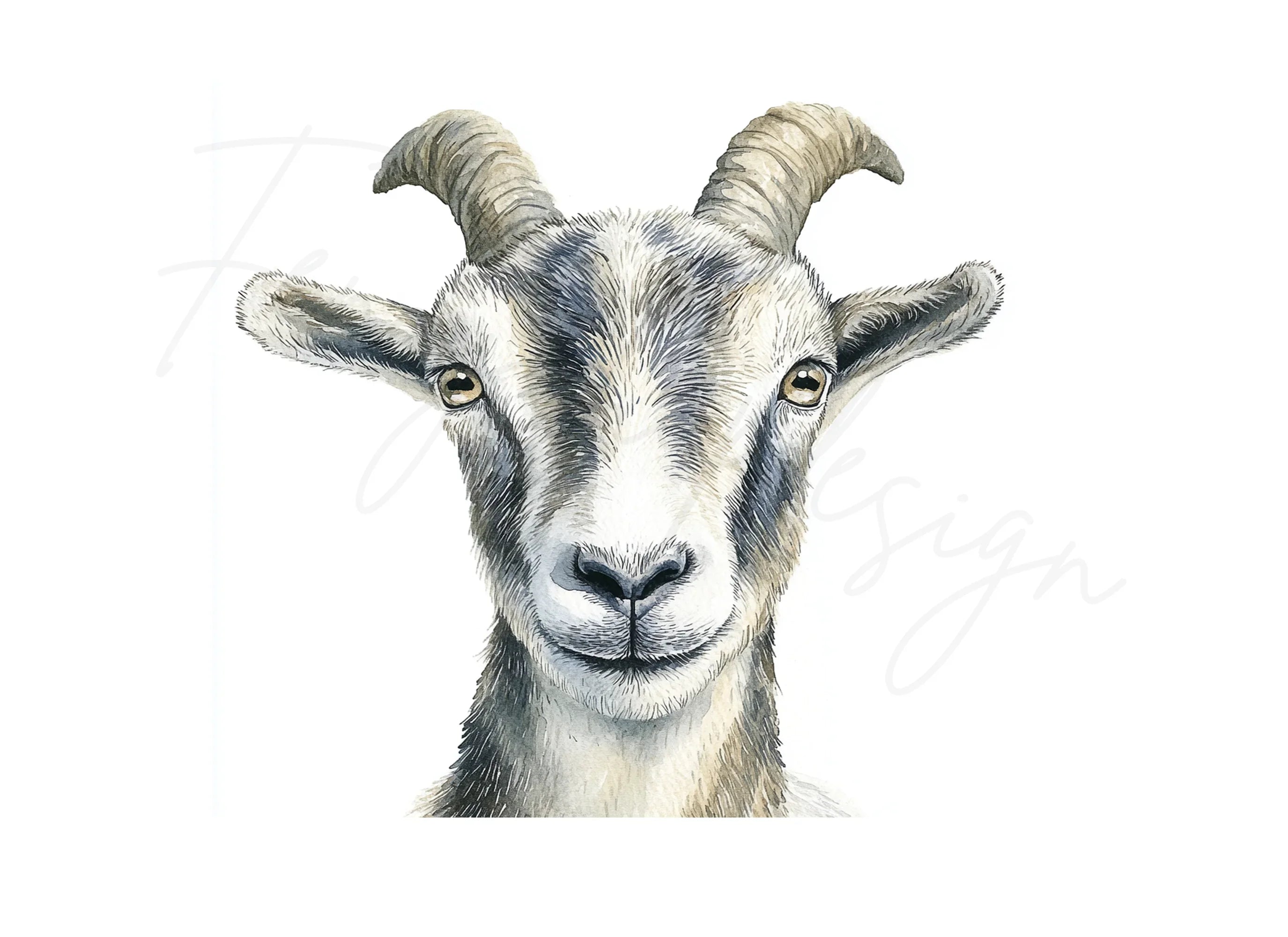Cute Goat Faces Clipart Bundle