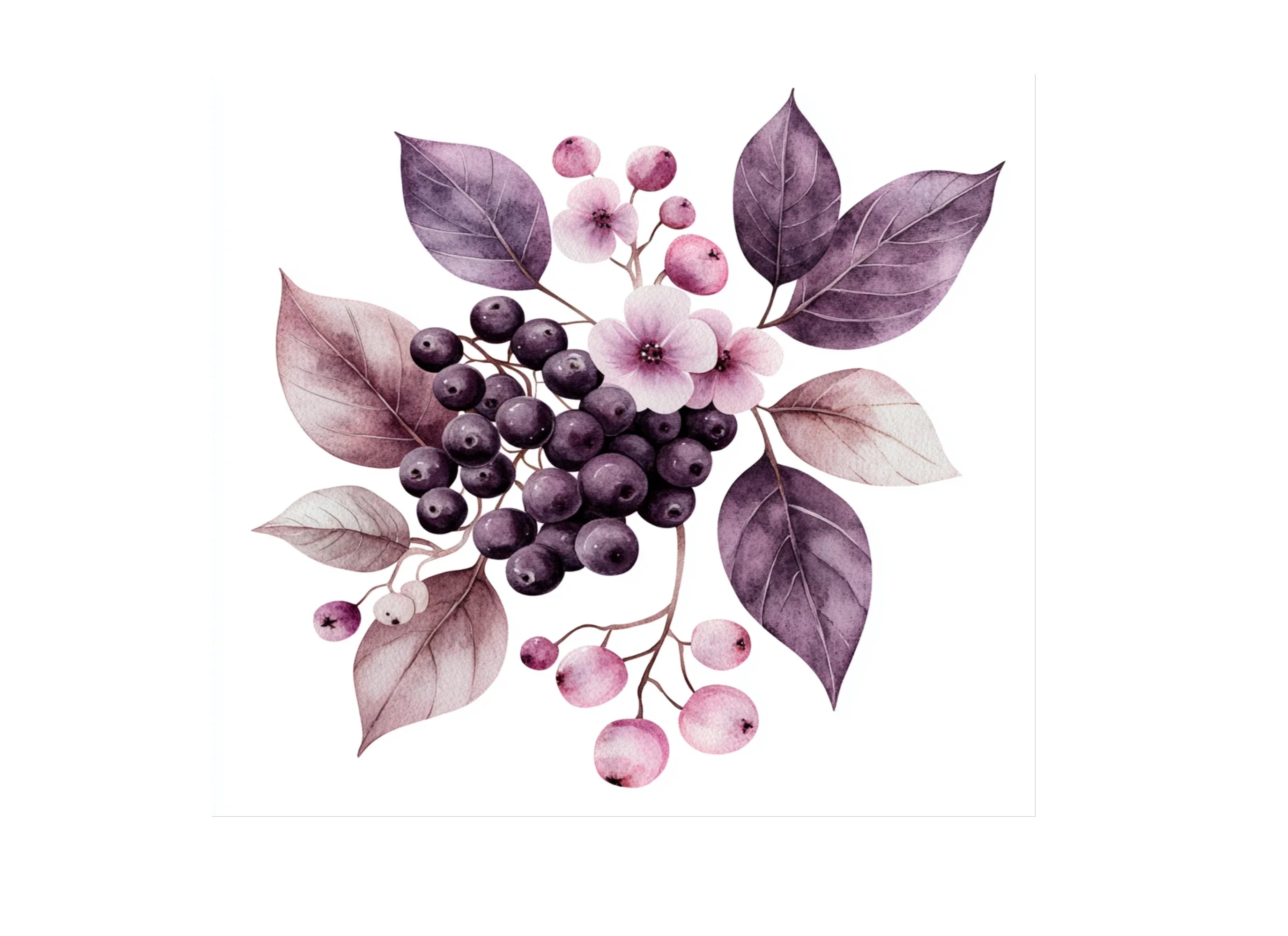 Berry Floral Clipart Bundle