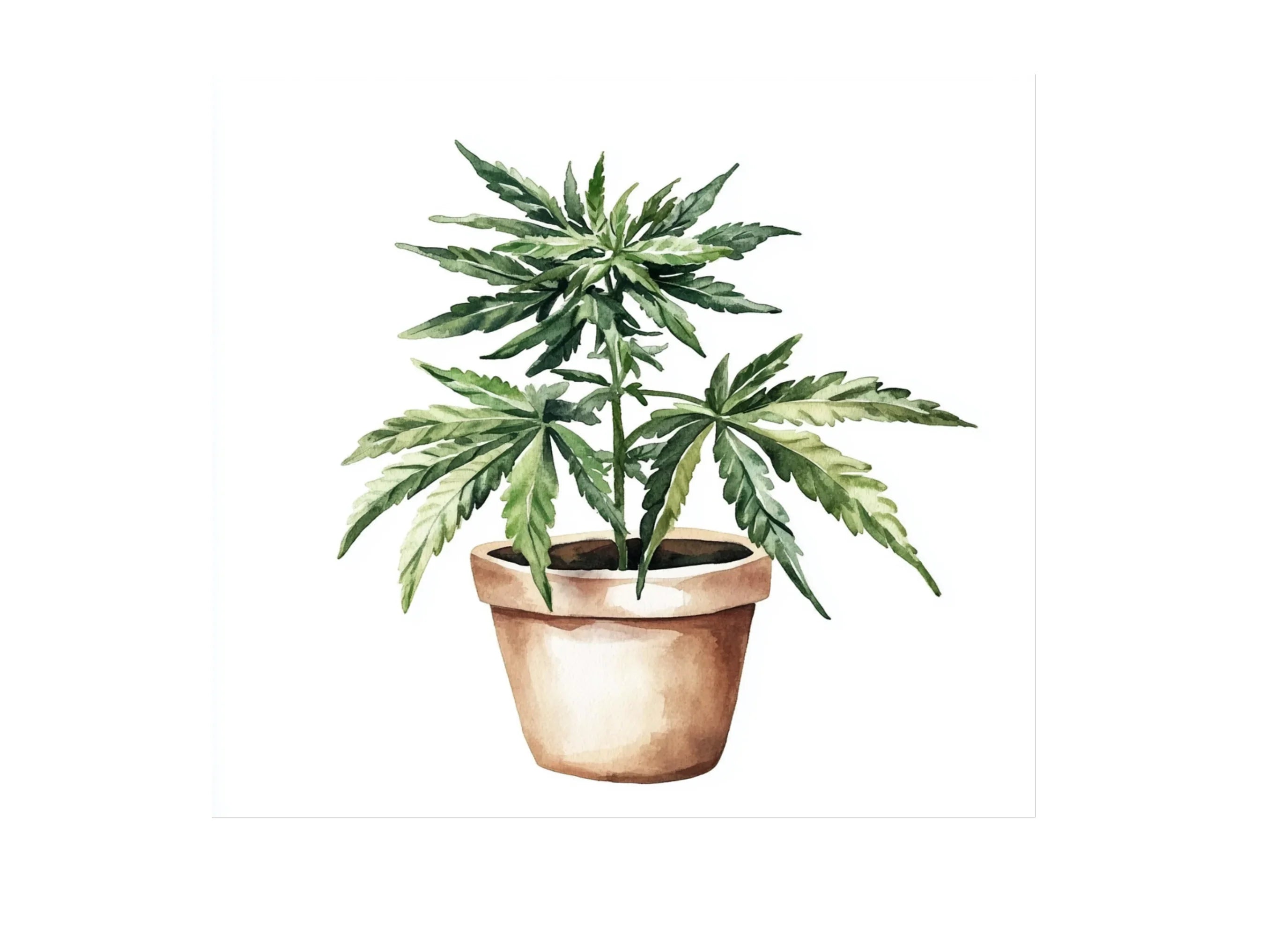 Potted Cannabis Plants Clipart Bundle