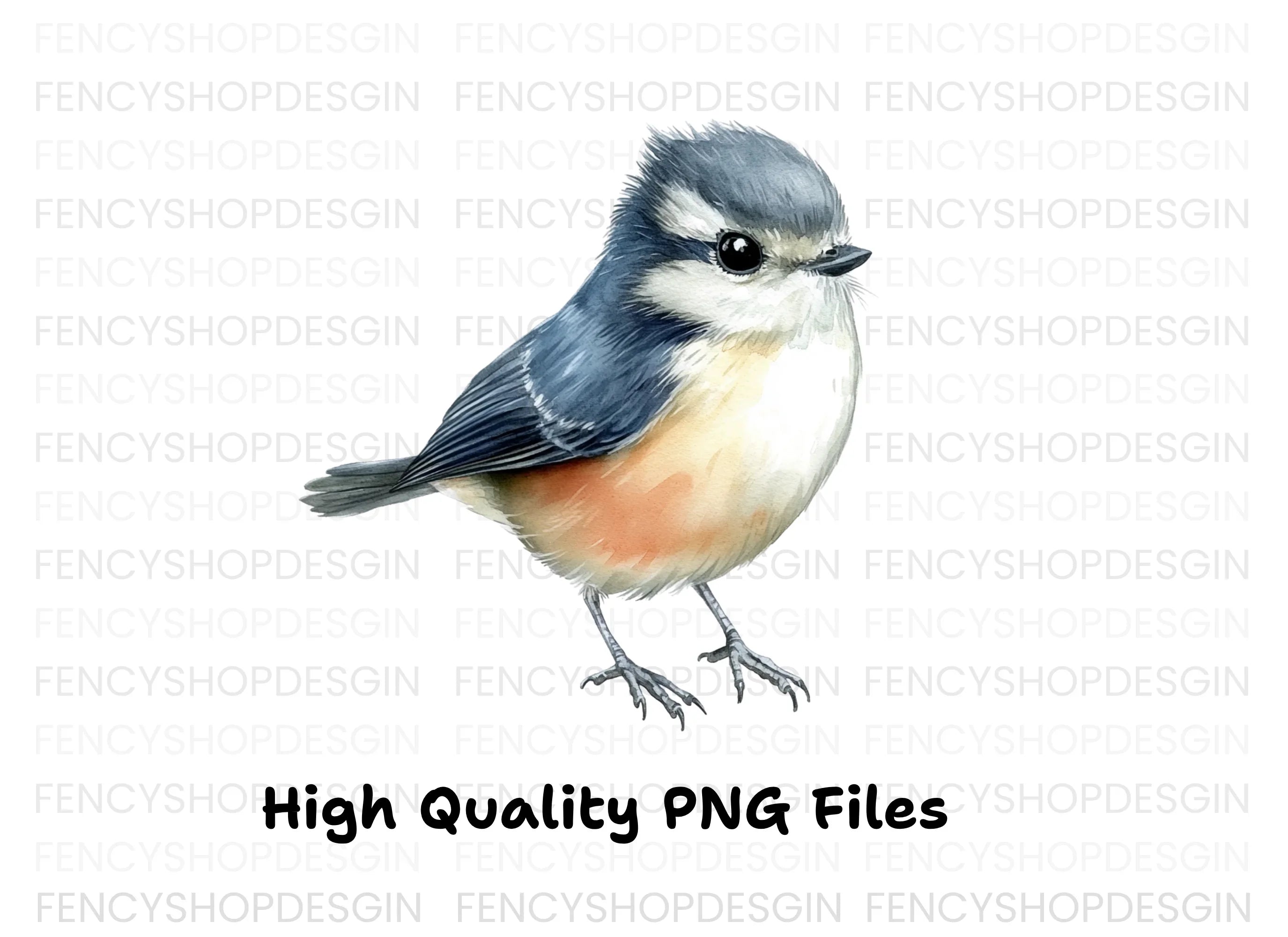 Adorable Blue and Orange Bird Clipart Bundle
