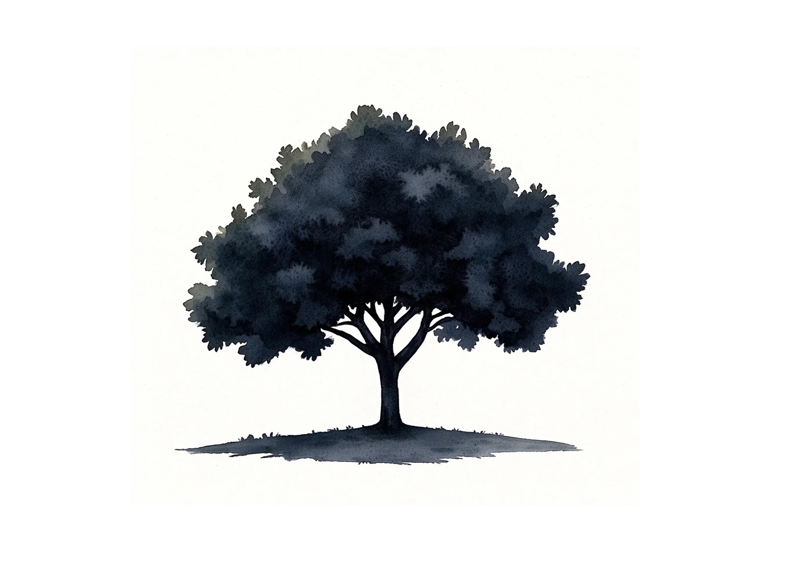 Abstract Tree Illustrations Clipart Bundle