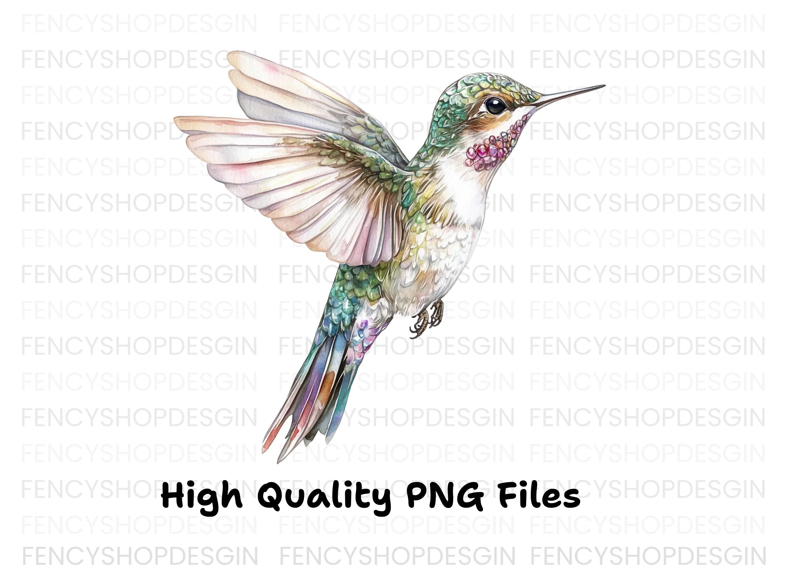 Hummingbird Clipart Bundle