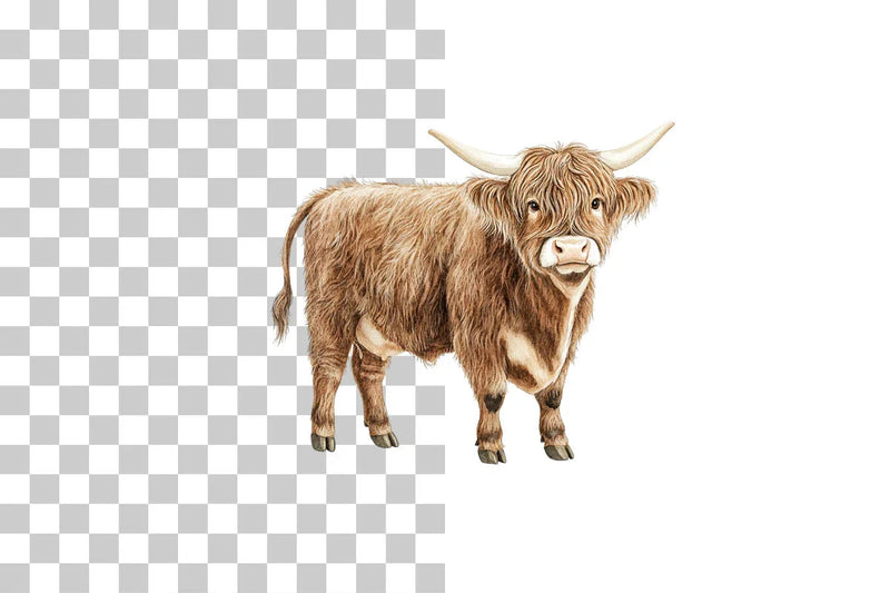 Highland Cow Farm Animal Clipart Bundle - CraftNest - Digital Crafting and Art