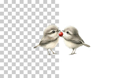 Cute Love Animals Clipart Bundle - CraftNest - Digital Crafting and Art