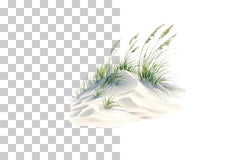 Coastal Sand Dunes with Grass Clipart Bundle - CraftNest - Digital Crafting and Art