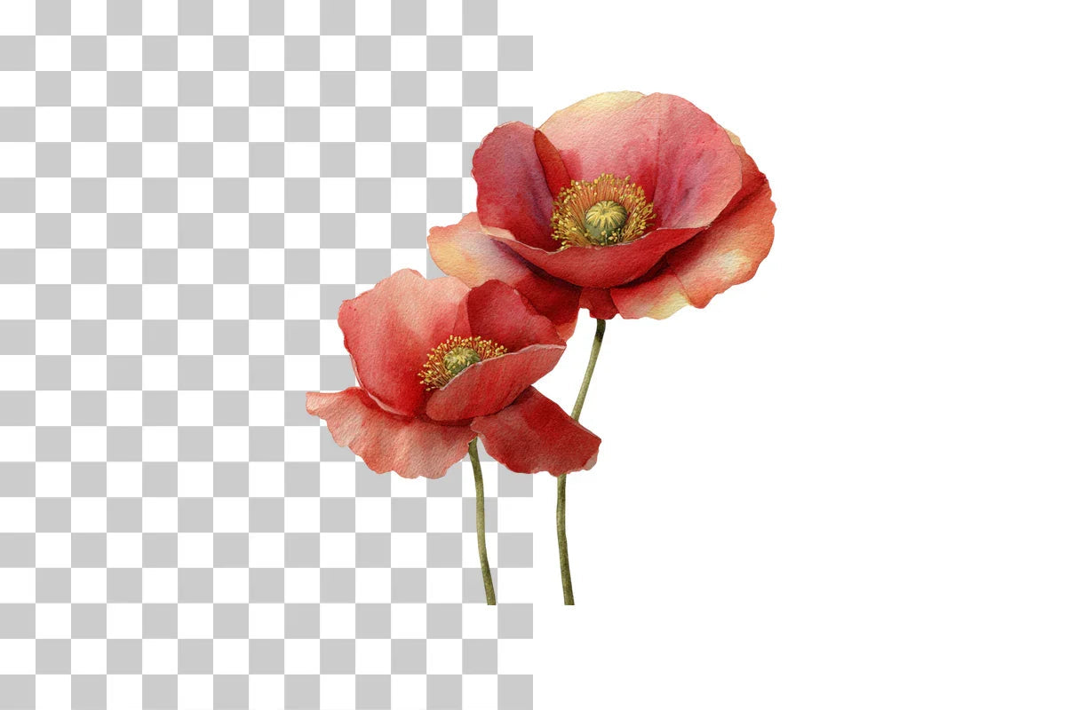 Red Poppy Clipart Bundle - Etb 403 - CraftNest - Digital Crafting and Art