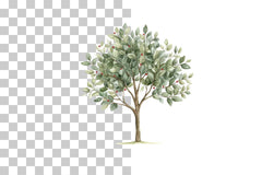 Folk Art Decorative Tree Clipart Bundle - CraftNest - Digital Crafting and Art