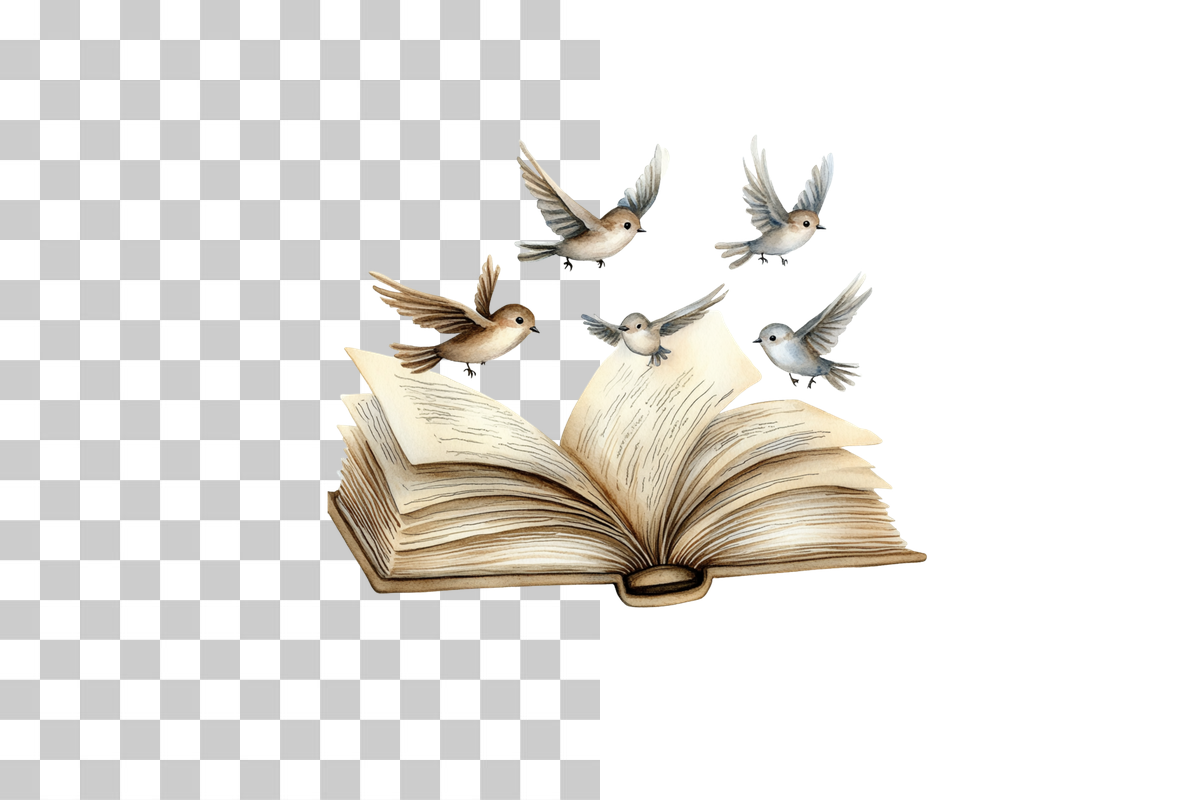 Open Book with Flying Birds Clipart Bundle