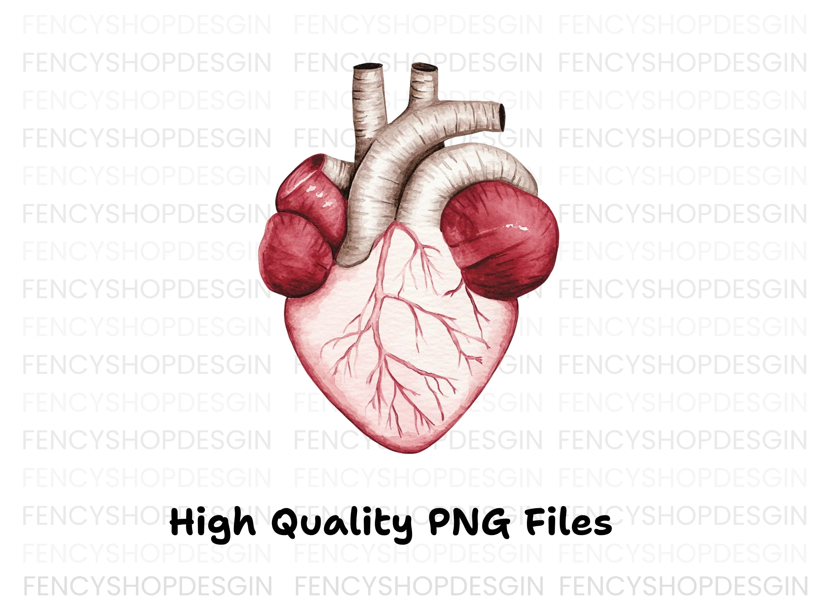 Detailed Human Heart Anatomy Clipart Bundle