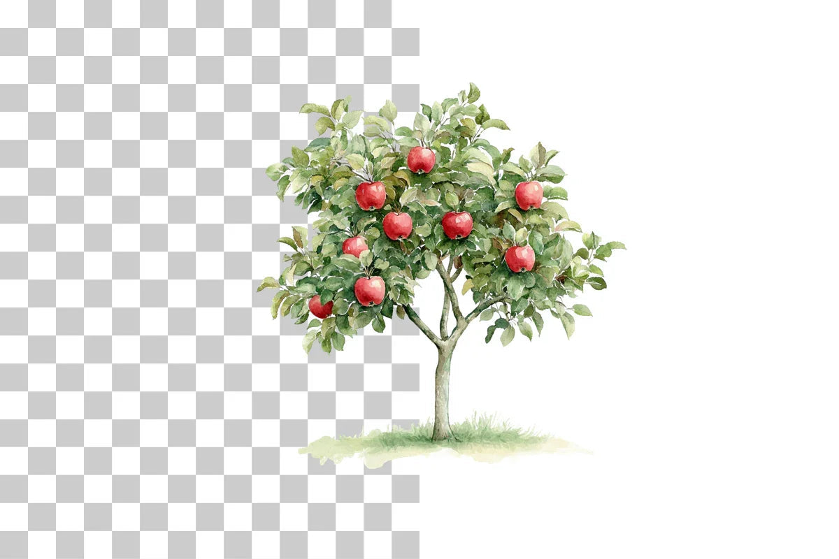 Apple Tree Harvest Scene Clipart Bundle - CraftNest - Digital Crafting and Art