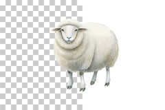 Cartoon Sheep Farm Animal Clipart Bundle - CraftNest - Digital Crafting and Art