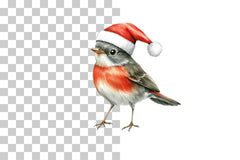 Robin Bird with Santa Hat Clipart Bundle - CraftNest - Digital Crafting and Art
