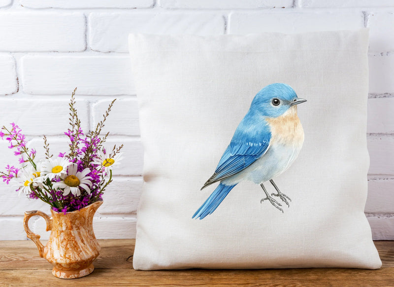 Bluebird Songbird Clipart Bundle - CraftNest - Digital Crafting and Art