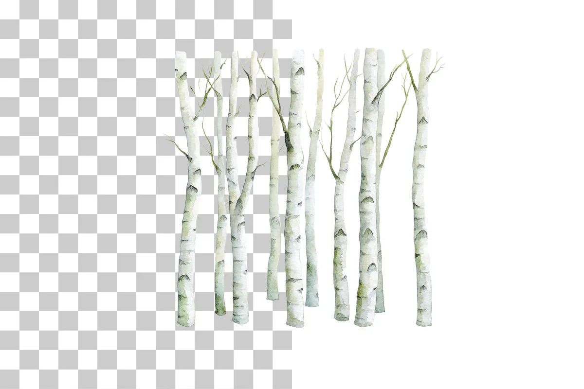 Birch Forest Paper Clipart Bundle - CraftNest - Digital Crafting and Art