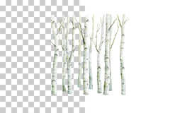 Birch Forest Paper Clipart Bundle - CraftNest - Digital Crafting and Art