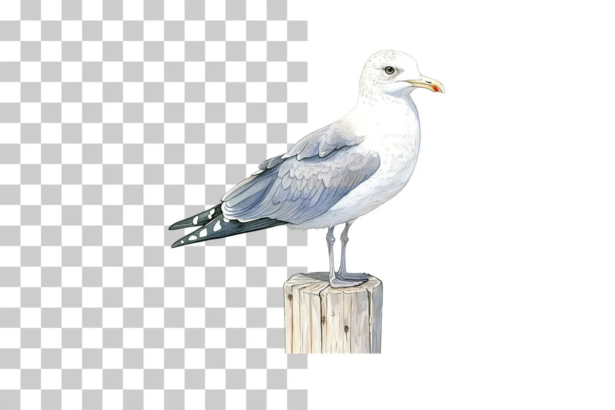 Seagull on Coastal Post Clipart Bundle - CraftNest - Digital Crafting and Art