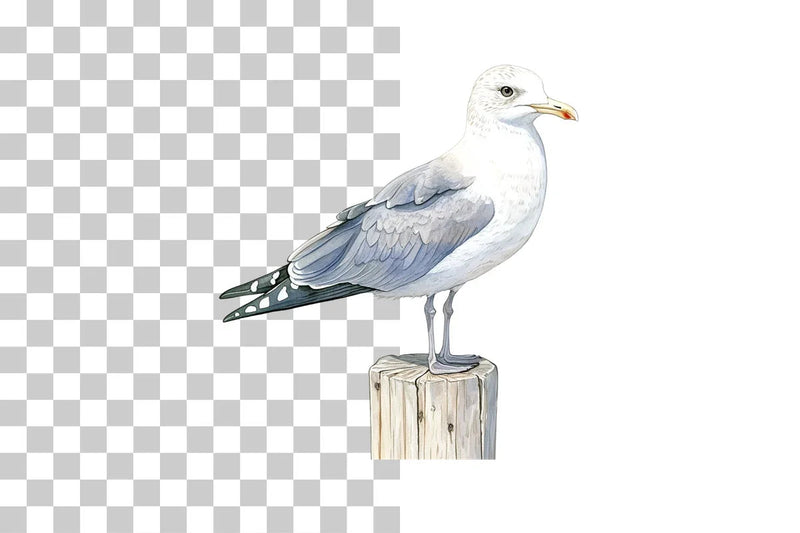 Seagull on Coastal Post Clipart Bundle - CraftNest - Digital Crafting and Art