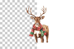 Festive Reindeer with Scarves Clipart Bundle - CraftNest - Digital Crafting and Art