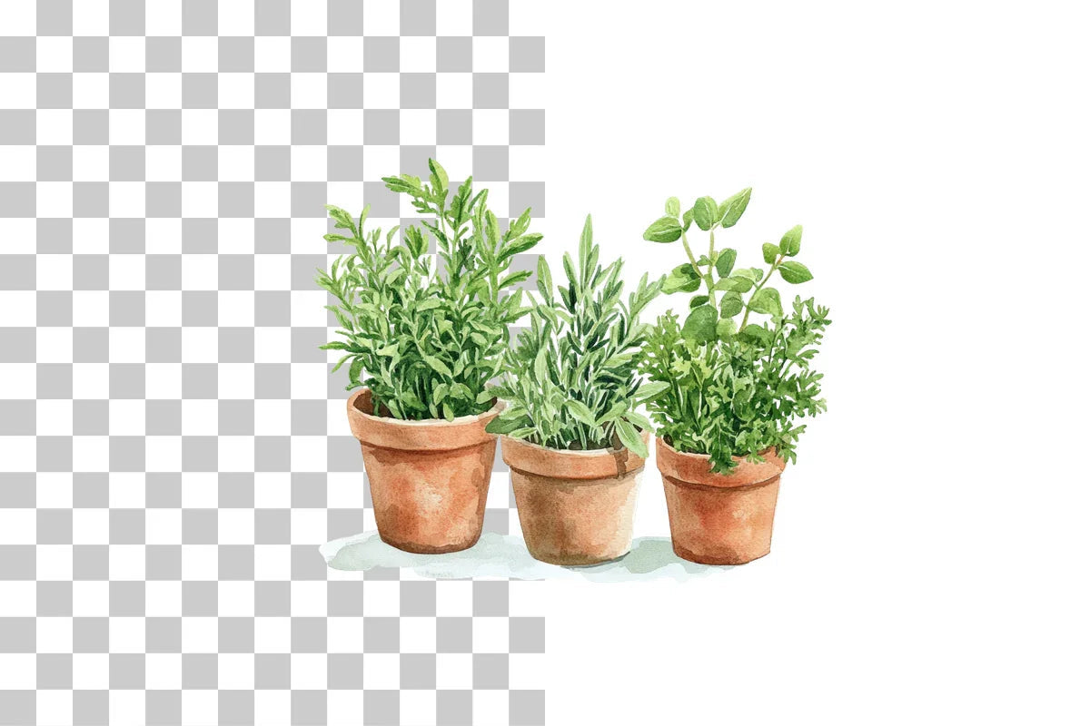 Potted Herb Garden Clipart Bundle - CraftNest - Digital Crafting and Art