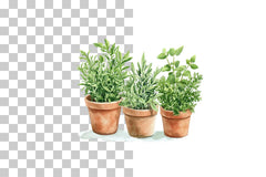 Potted Herb Garden Clipart Bundle - CraftNest - Digital Crafting and Art