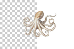 Vintage Octopus Sketch Illustration Clipart Bundle - CraftNest - Digital Crafting and Art