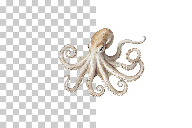 Vintage Octopus Sketch Illustration Clipart Bundle - CraftNest - Digital Crafting and Art