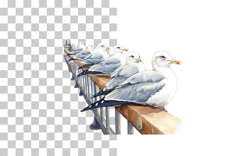 Seagulls on Coastal Pier Clipart Bundle - CraftNest - Digital Crafting and Art
