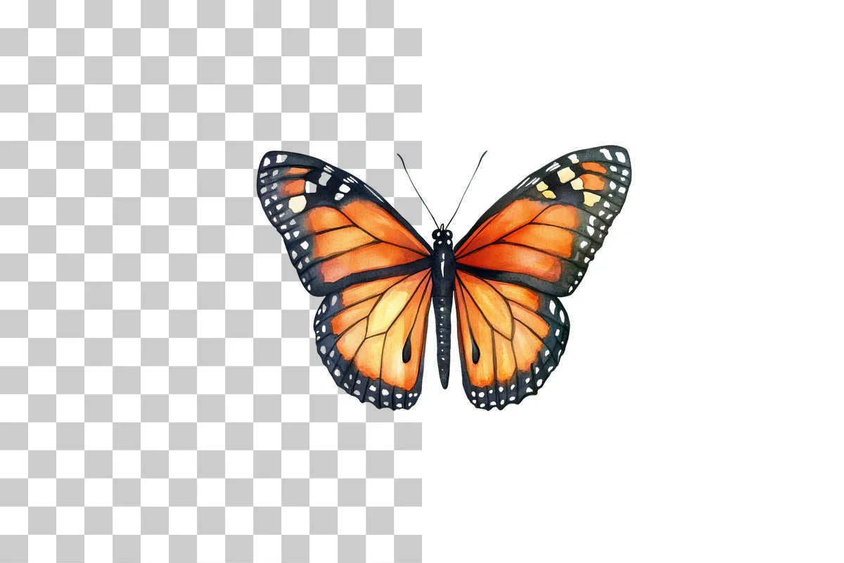 Monarch Butterfly Clipart Bundle - CraftNest - Digital Crafting and Art