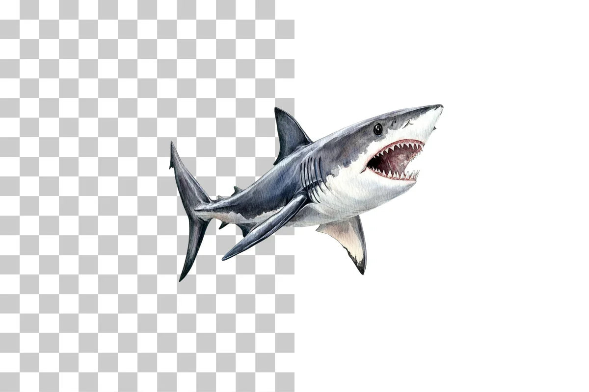Shark Ocean Predator Clipart Bundle - CraftNest - Digital Crafting and Art