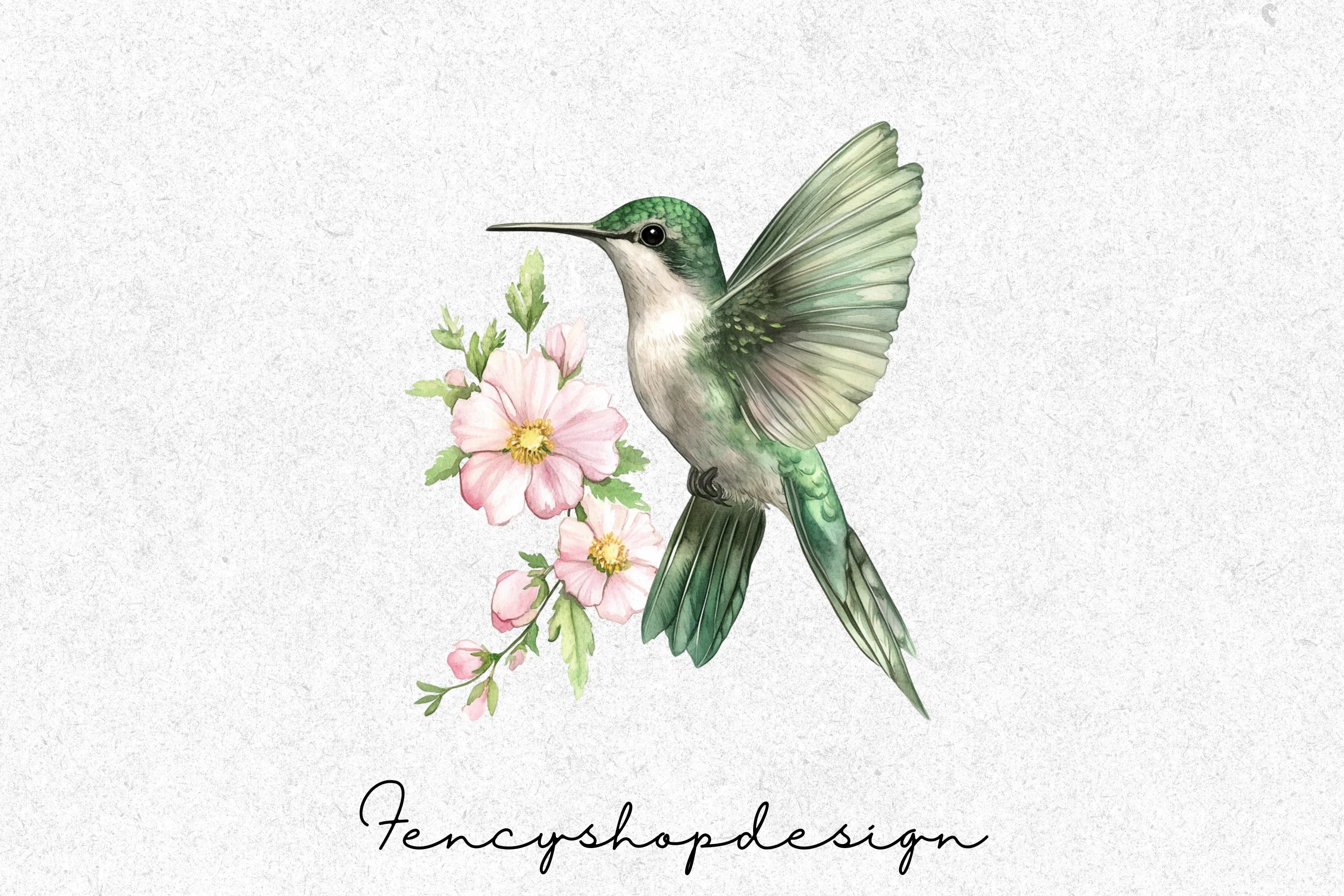 Hummingbird Clipart Bundle