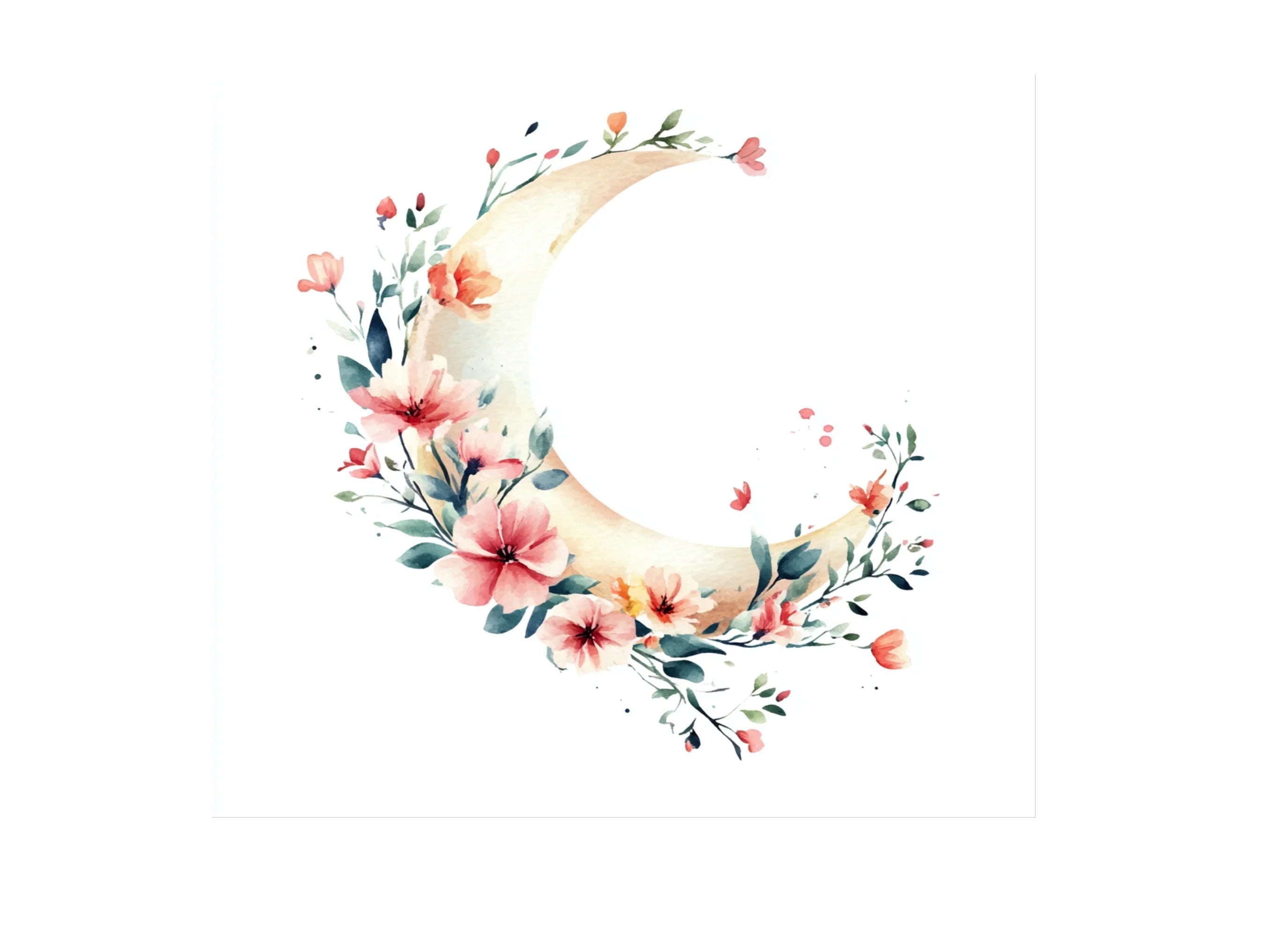 Floral Moon Clipart Bundle