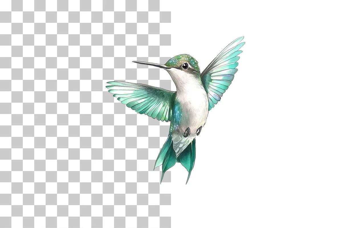 Hummingbird In Flight Clipart Bundle - CraftNest - Digital Crafting and Art