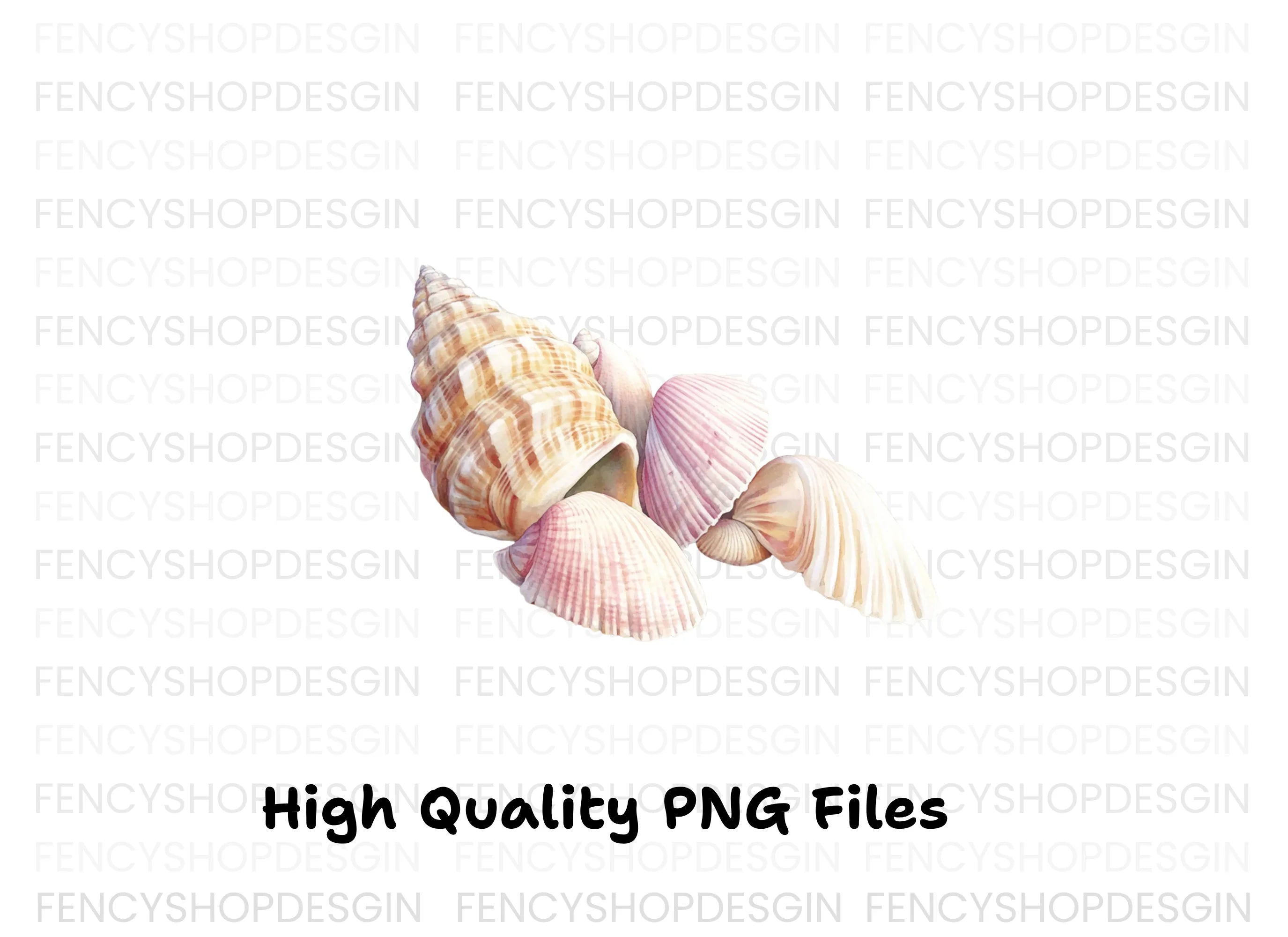 Assorted Beach Shells Clipart Bundle