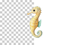 Colorful Seahorse Clipart Bundle - CraftNest - Digital Crafting and Art